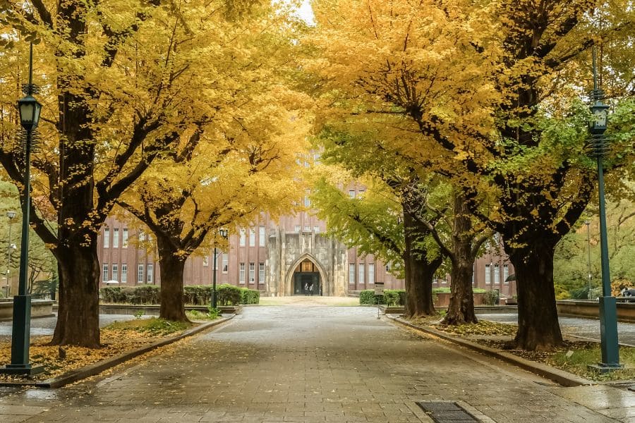 中日高校人才交流会（东京）封面
